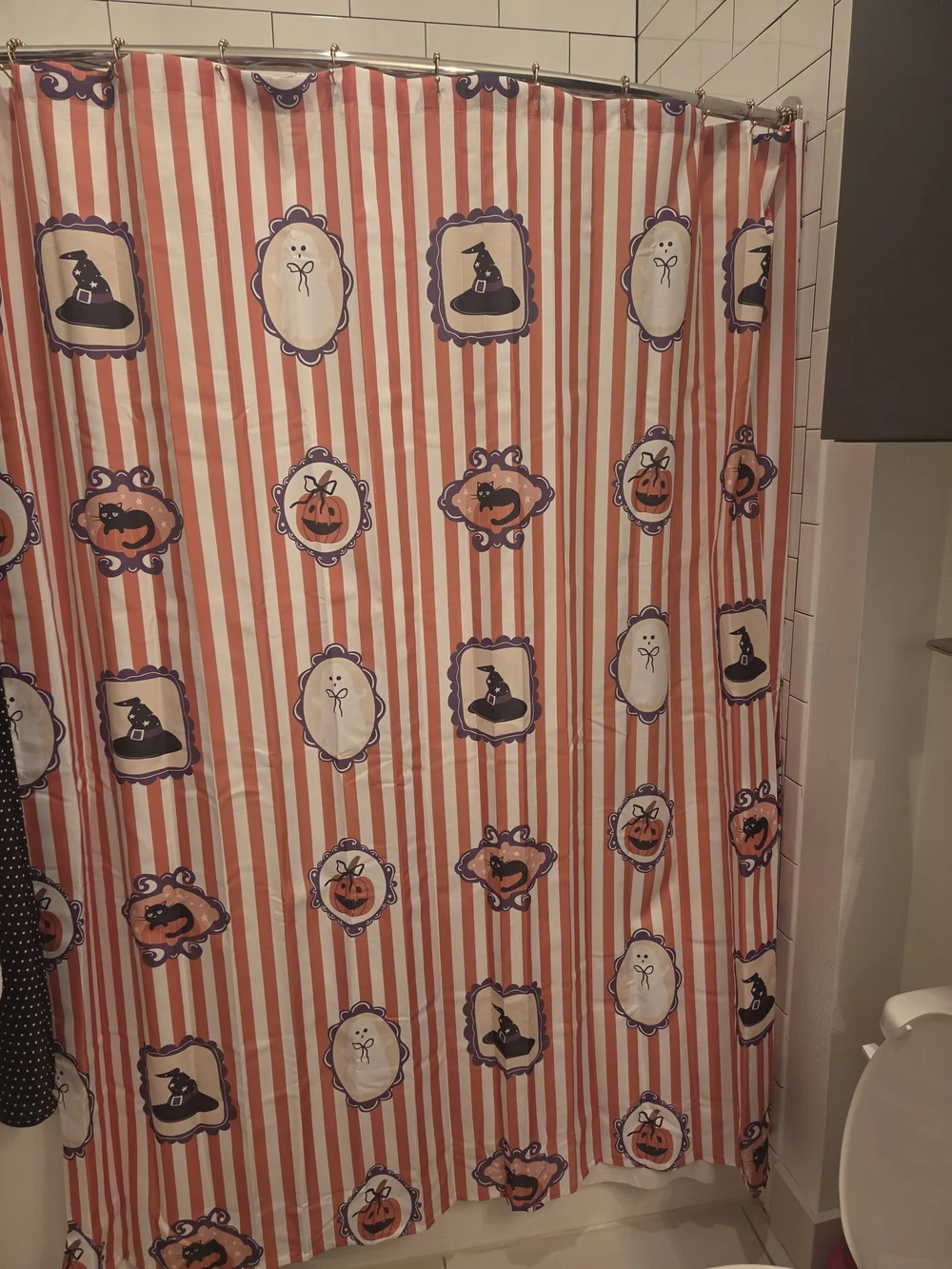 Halloween Shower Curtain & Hooks